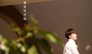 张明瑞喜欢洛枳吗 张明瑞喜欢洛枳吗视频