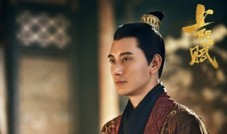 上阳赋二皇子当皇帝了吗 上阳赋二皇子是谁