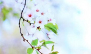 爱情简短浪漫的句子 爱情浪漫的句子