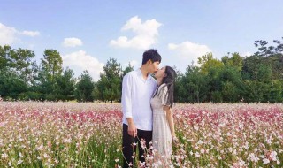 最感动天地的爱情句子 最感动天地的爱情句子短句