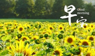 早安祝福语经典句子 早安祝福句子经典语句