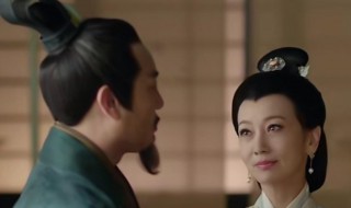 上阳赋王蔺爱长公主吗 上阳赋王蔺爱女儿吗