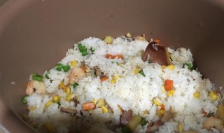 宝宝版焖饭的做法 宝宝焖饭的做法大全集