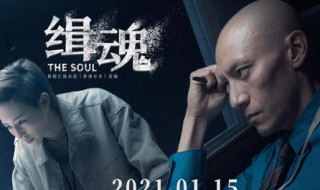 缉魂电影主要讲什么（电影缉魂介绍）