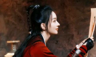 有匪主要讲什么（有匪到底讲什么）