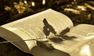 女人靠自己的句子说说心情（靠自己的说说 女人短句）