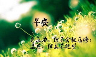 2021年早安的心情说说 2021年最新早安说说