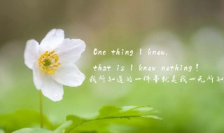 2021被点赞最高的精辟句子（2021高情商发圈被秒赞的句子）