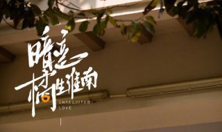 暗恋橘生淮南张明瑞喜欢谁（橘生淮南张明瑞和谁在一起）