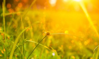 享受暖阳的心情句子 享受暖阳的心情句子图片