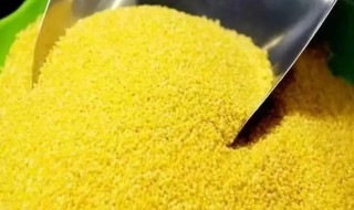 珍珠米怎样做好吃 小米珍珠面的做法