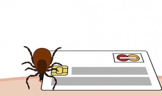 蜱虫为什么能咬死人 蜱虫咬人为什么会死人