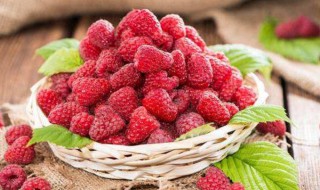 覆盆子和树莓的区别（覆盆子和树莓的区别是什么）