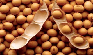 酒豆怎么做法 酒豆的家常做法