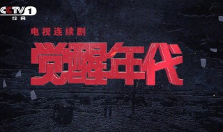 觉醒年代江冬秀扮演者（觉醒里的江冬秀）