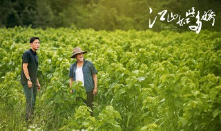 江山如此多娇经典台词 江山如此多娇的经典台词