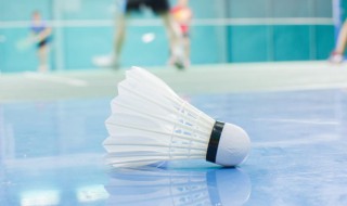 关于羽毛球的句子 关于羽毛球的句子唯美