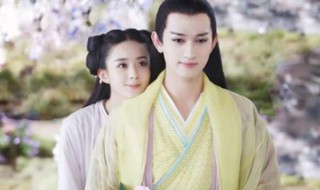 杀姐姐扮演者是谁 杀姐姐百科