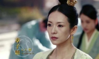 章子怡和周一围演的电视剧是什么（章子怡和周一围演的电视剧是什么电影）