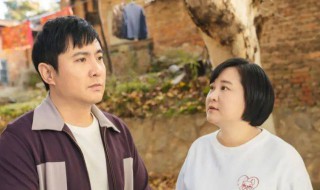 你好李焕英演员表（你好李焕英演员表所有演员）