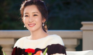 秦海璐个人资料简介 秦海璐个人资料简介婚史