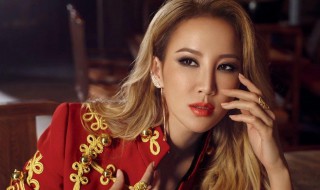 李玟简历及个人资料简介(李玟简历及个人资料简介 老公)