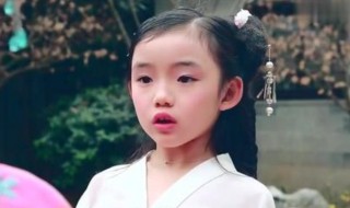 小戏骨演的影视剧介绍(小戏骨演的影视剧介绍大全)