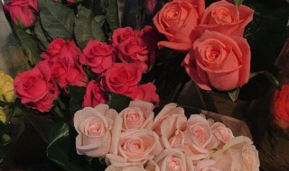 发朋友圈让人开心的幽默句子(开心时发朋友圈的幽默句子)