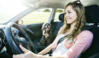 新手开车教程详细步骤手动挡（新手自动挡车开车教程）