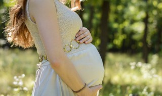 适合朋友圈公布怀孕的句子（宣布怀孕的朋友圈说说）