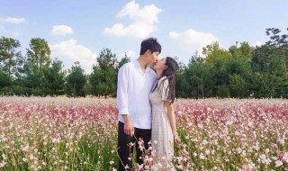 适合表白的情话 适合表白的情话八个字