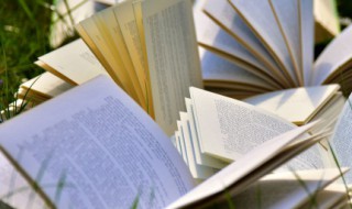 人生励志唯美语录 人生励志唯美语录短句