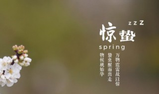 关于惊蛰优美的句子（关于惊蛰的唯美句子）