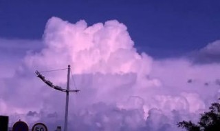 关于心情的句子短句（关于心情句子大全）