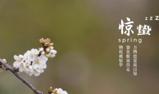 惊蛰祝福语简短一句（惊蛰的祝福句子）