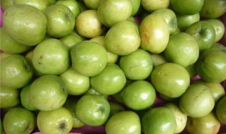 青枣的功效与作用 青枣的功效与作用上火吗