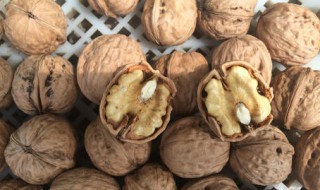 山核桃的功效与作用（山核桃的功效与作用及禁忌）