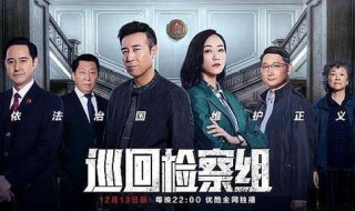 巡回检查组剧情介绍大结局 巡回检查组剧情介绍大结局剧透