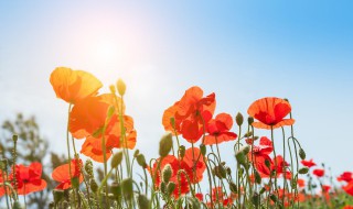 离开的句子朋友圈 离开的句子朋友圈文案