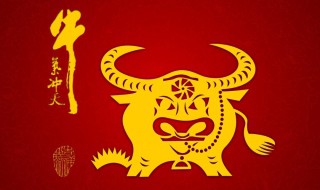 新年唯美祝福语贺词 新年祝福语 唯美