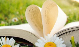 适合说晚安的唯美句子大全(适合说晚安的唯美句子大全短句)