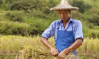 表达收获满满的句子经典语句 表达收获满满的句子经典语句图片