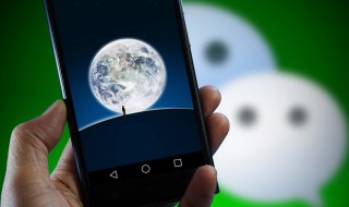 吃一堑长一智适合发朋友圈的句子（吃一堑长一智的经典语录）