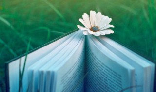 小年发给朋友的祝福语 送给朋友的小年祝福语