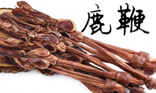 鹿鞭怎么保存（鹿鞭怎么保存时间长）