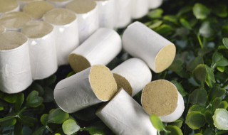 艾柱的功效与作用 女性艾柱的功效与作用