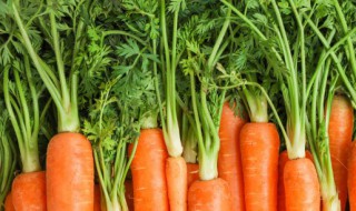 清肝排毒怎么做 清肝排毒怎么做好