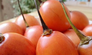 树番茄的功效与作用 树番茄的功效与作用图片视频