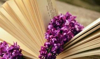 人生励志唯美的句子（人生励志唯美的句子短句）