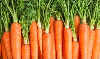 给宝宝做胡萝卜吃怎么做有营养